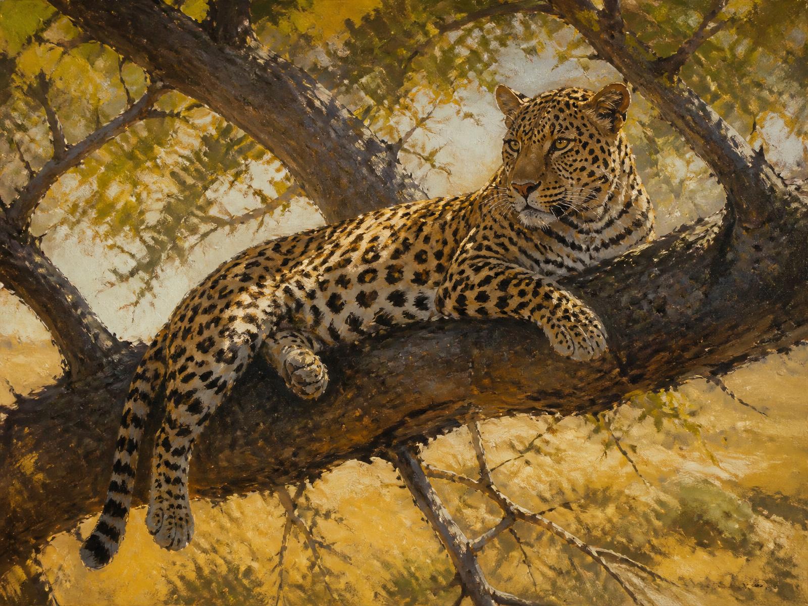 Leopard in Light and Shade